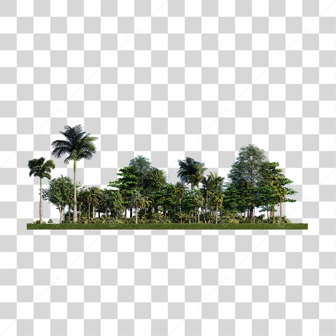 Árvore de folha verde, planta PNG Transparente