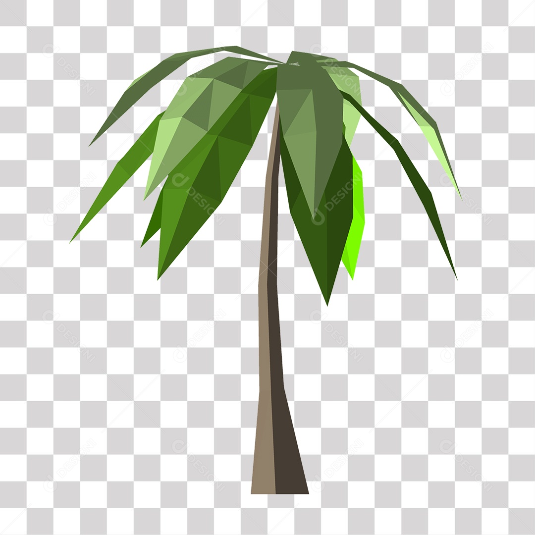 Desenho de Coqueiro PNG Transparente