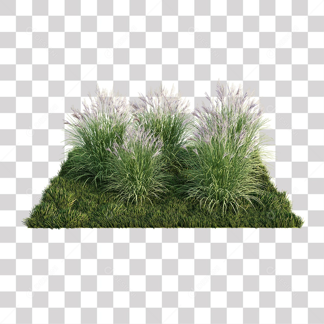 Planta Arbusto PNG Transparente