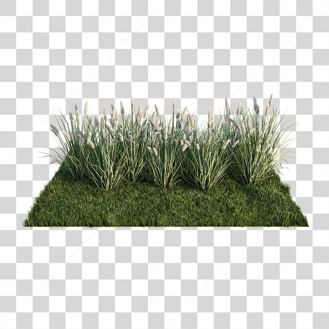 Planta Arbusto PNG Transparente