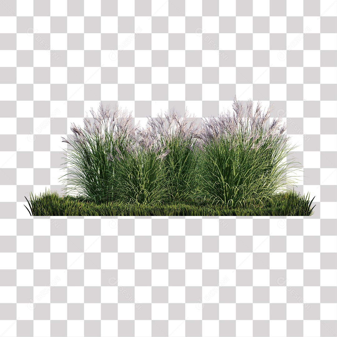 Planta Arbusto PNG Transparente