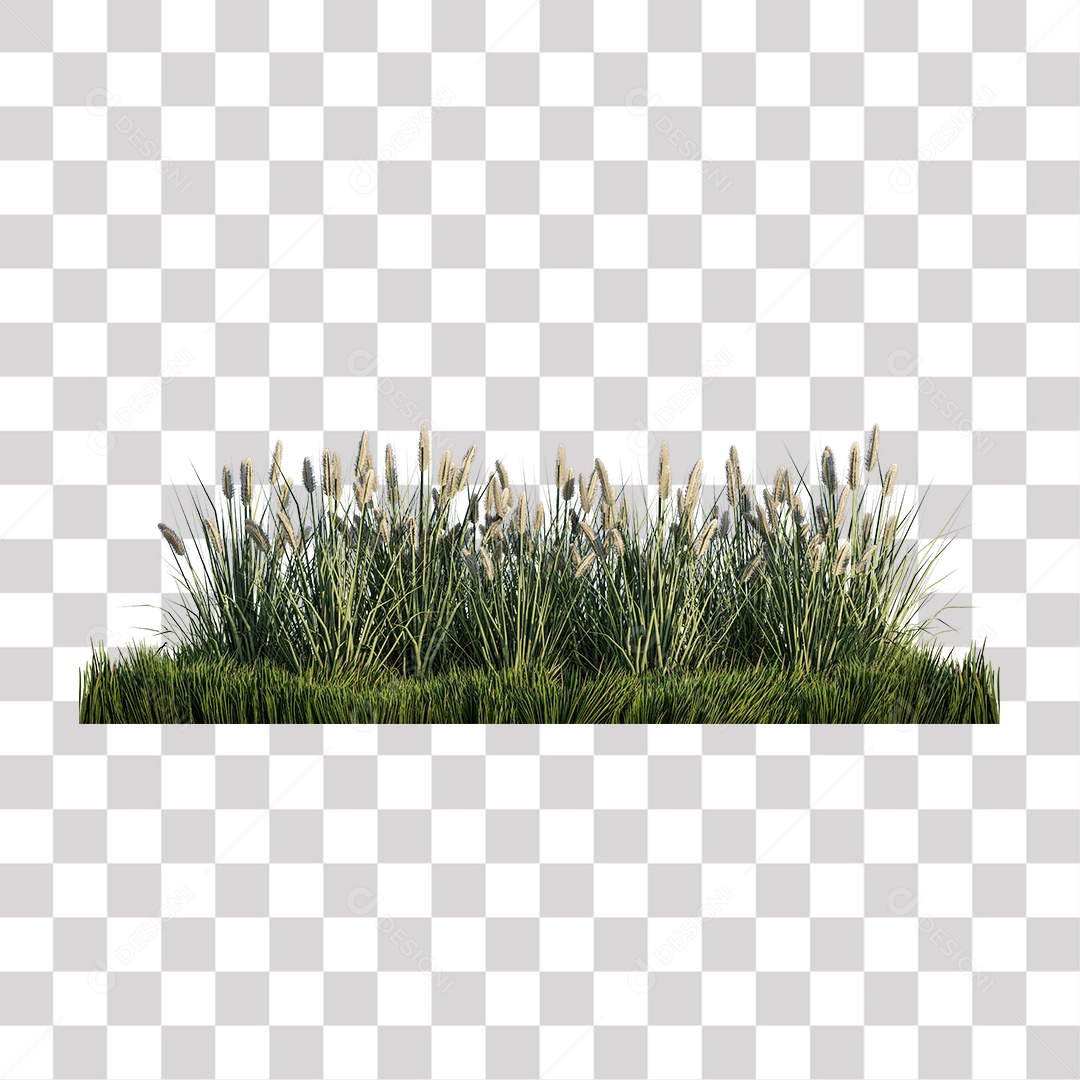 Planta Arbusto PNG Transparente