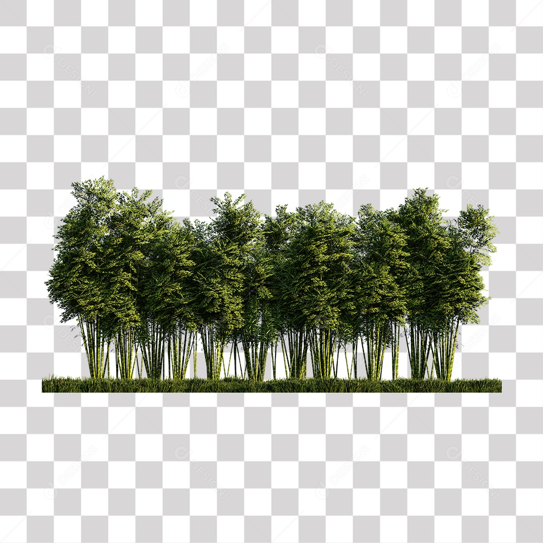 Árvore de Bamboo PNG Transparente