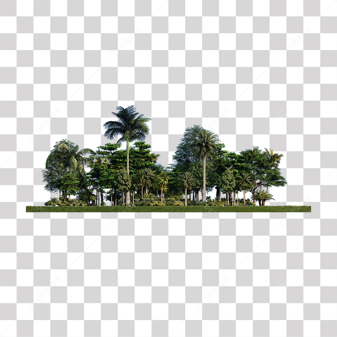 Árvore de Folha Verde Coqueiro Planta PNG Transparente