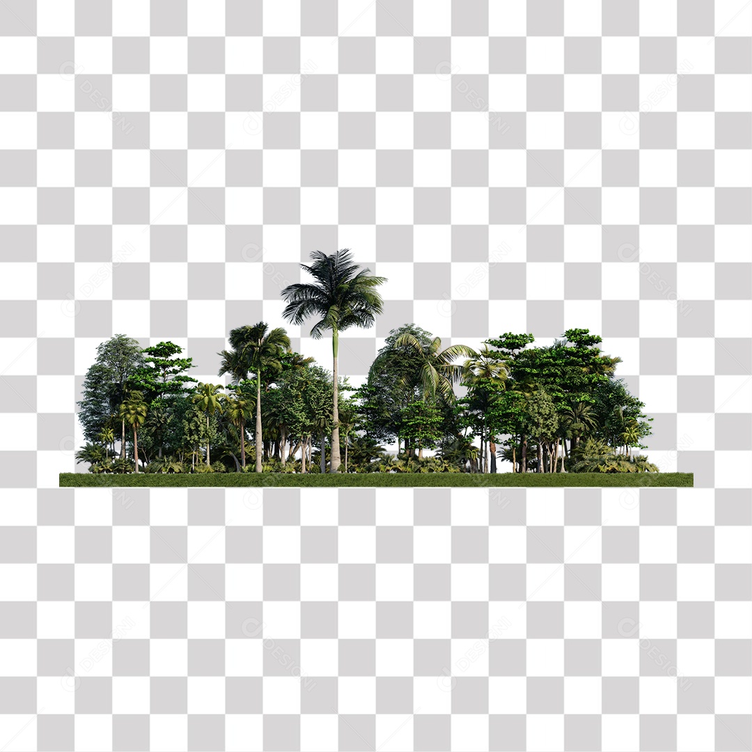 Árvore de Folha Verde Coqueiro Planta PNG Transparente