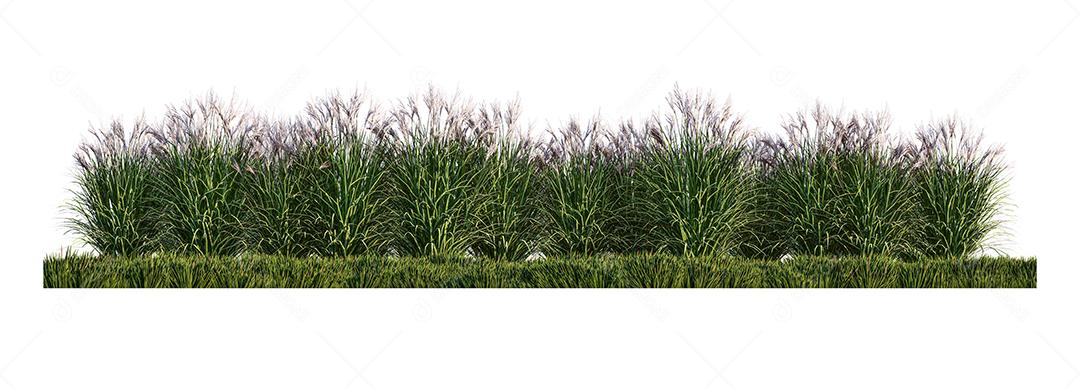 Uma imagem de renderização 3d de muita flor de grama no campo de grama verde