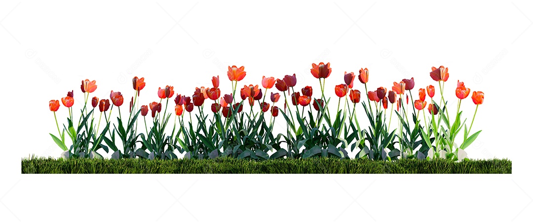Uma imagem renderizada de tulipas coloridas no campo de grama verde.