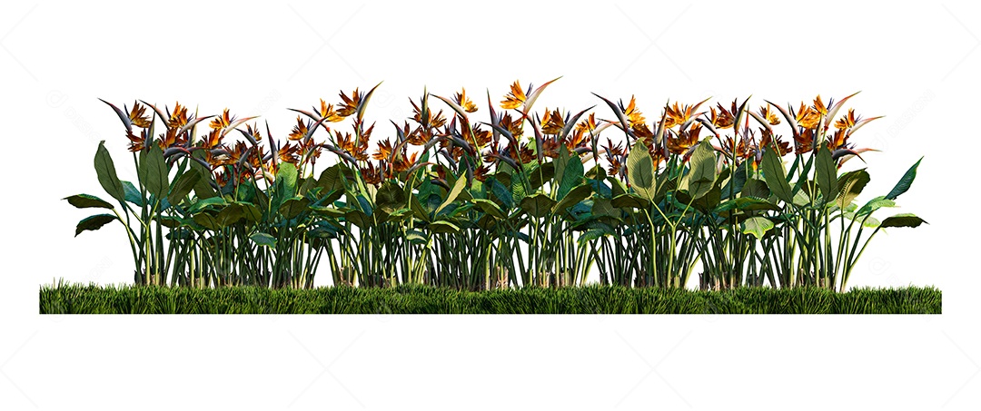 Uma imagem de renderização 3d de bétulas do paraíso no campo de gramíneas verdes. Criador de cena