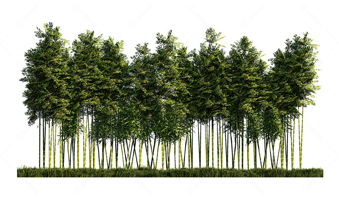 Uma imagem de renderização 3d de muitos bambus.