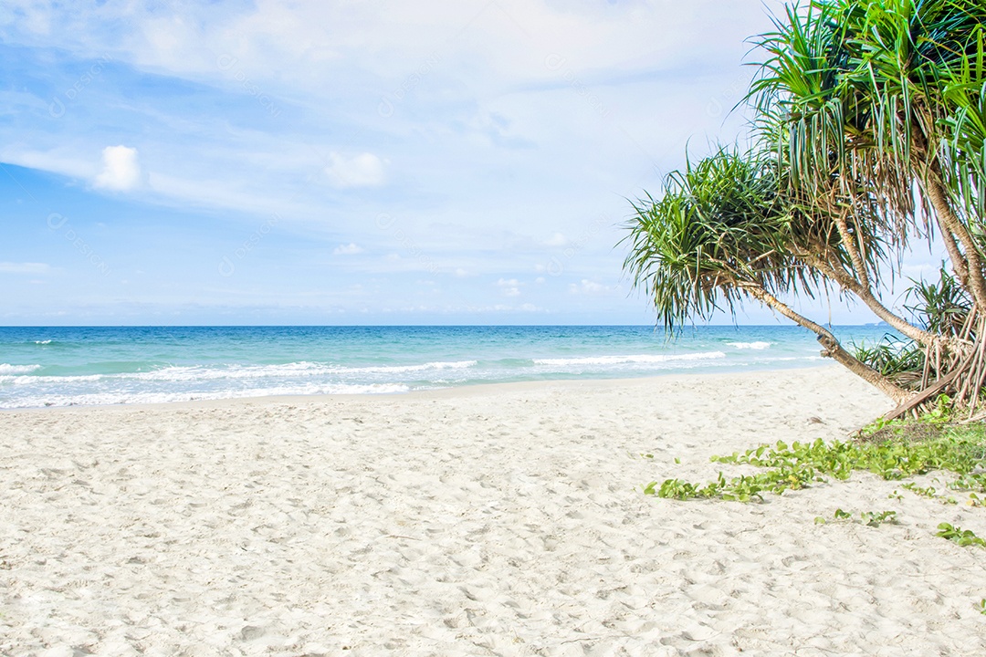 Praia de areia e mar azul com árvores tropicais
