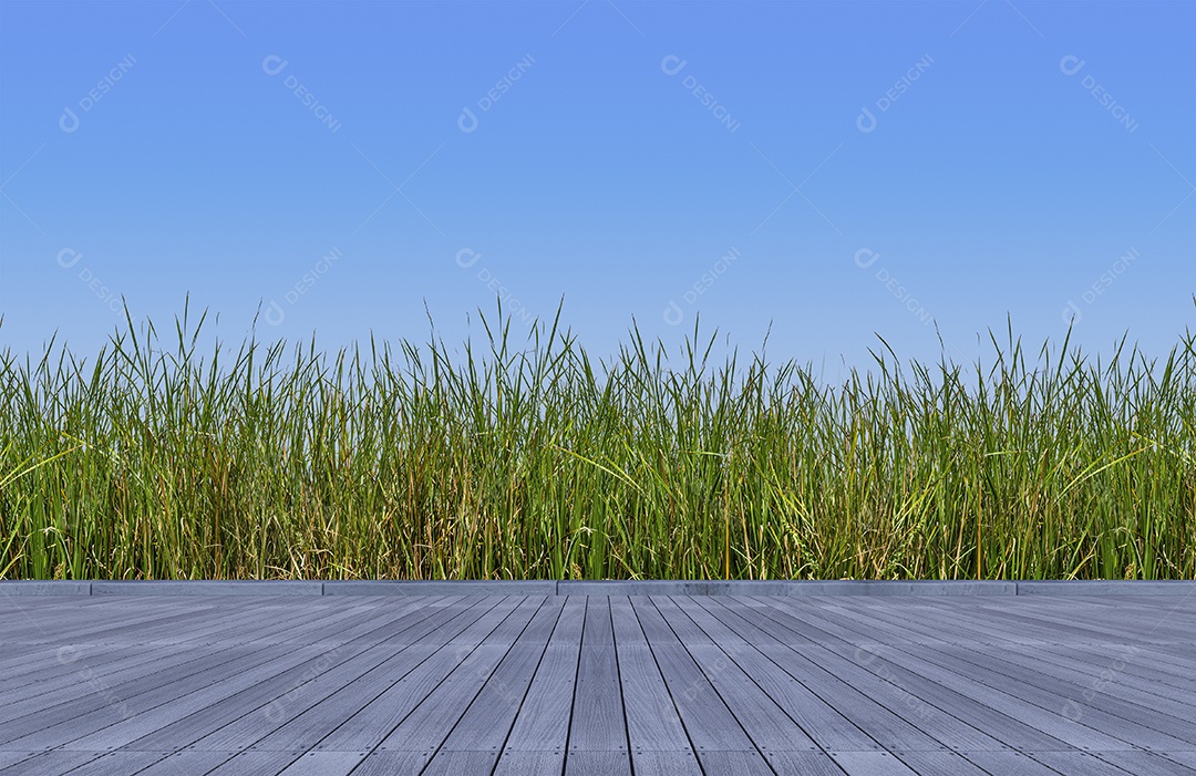 Piso de madeira de renderização 3D e gramíneas selvagens de cor verde.