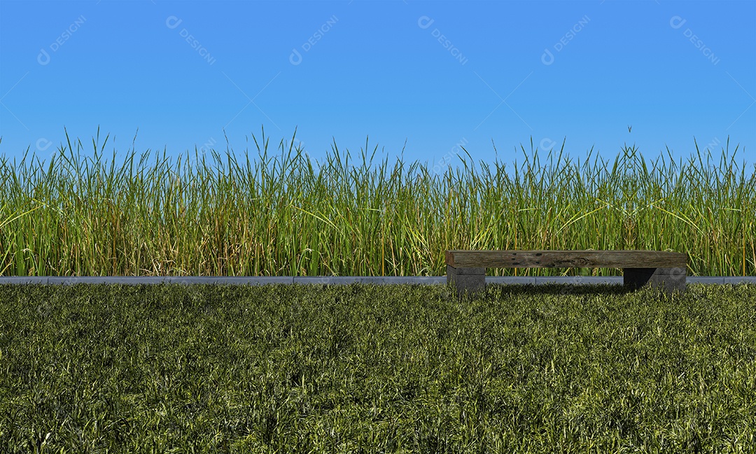 3d renderização de campo de gramíneas selvagens de cor verde e maquete do céu.