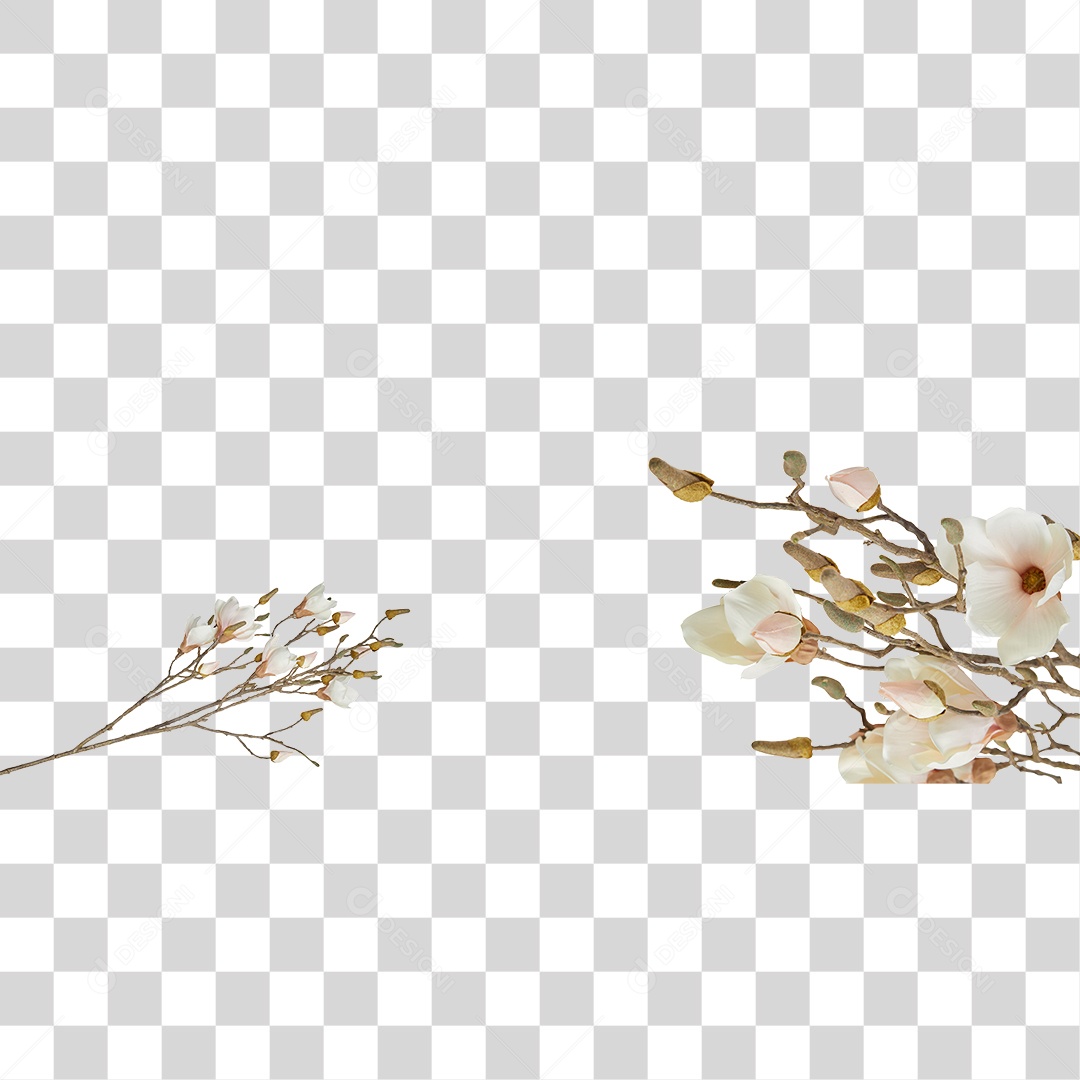 Flores PNG Transparente