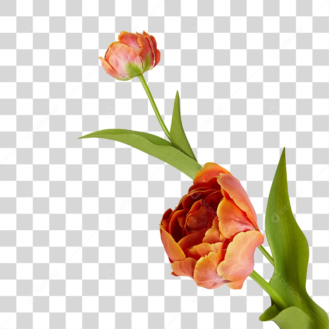 Flores Verde PNG Transparente