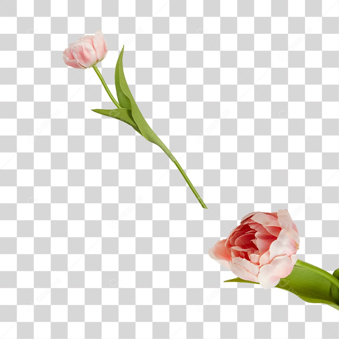 Flores Verde PNG Transparente