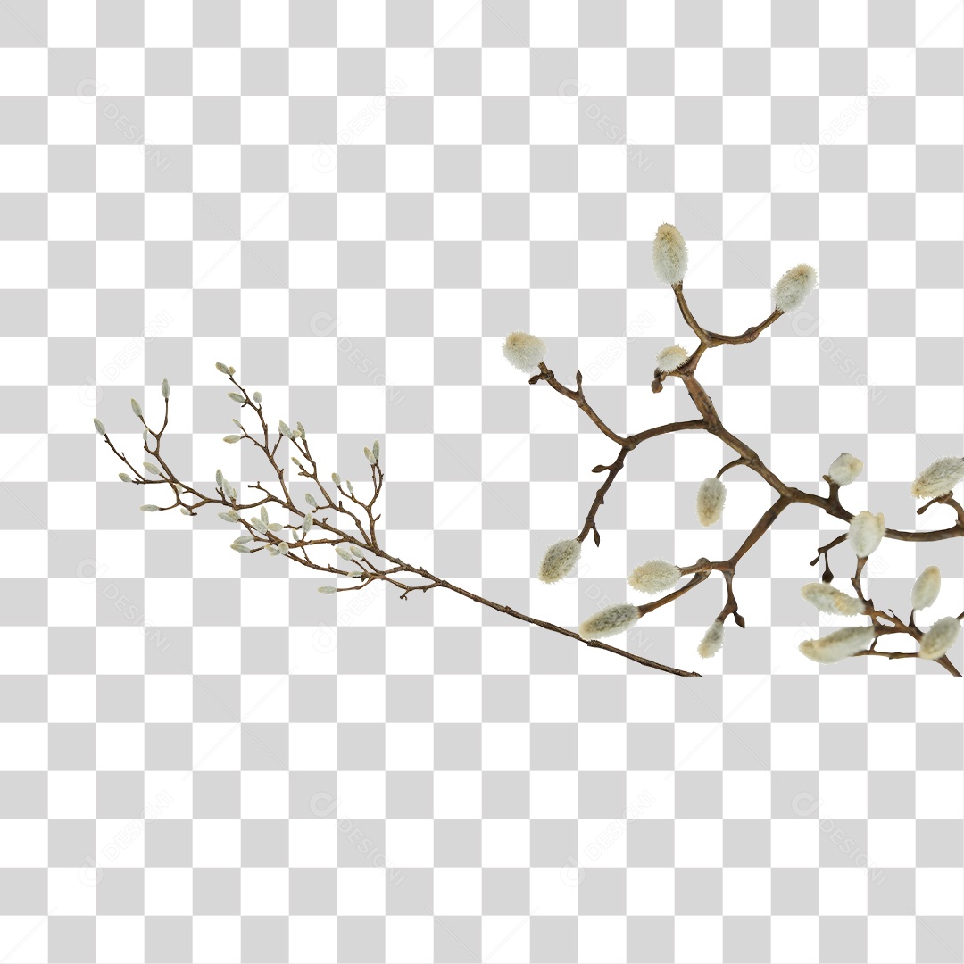 Dry Plant Transparent PNG