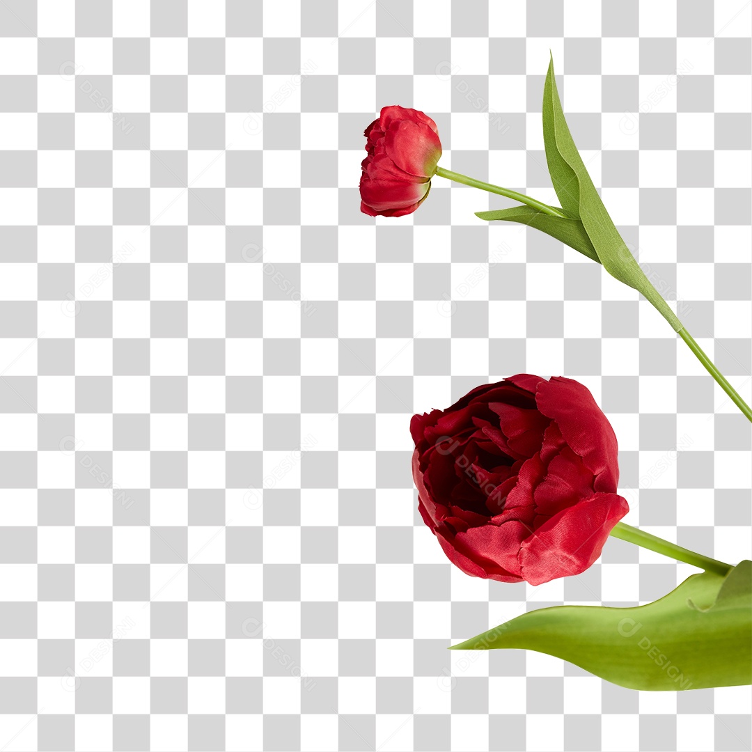 Flores Vermelho PNG Transparente