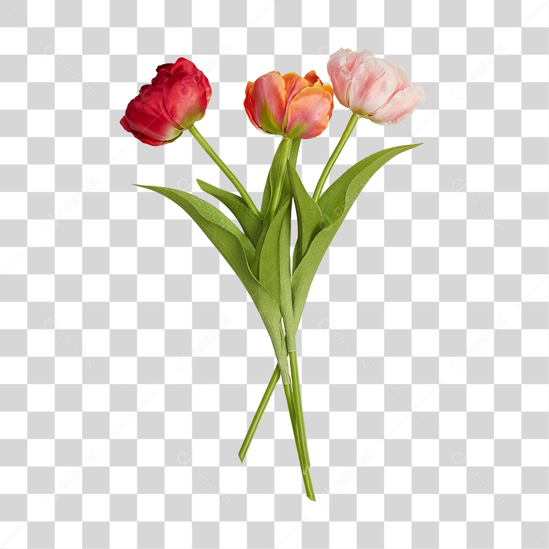 Flores PNG Transparente