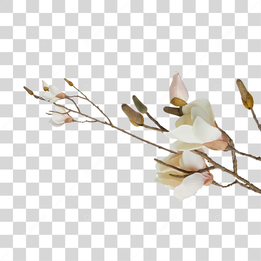 Flores PNG Transparente