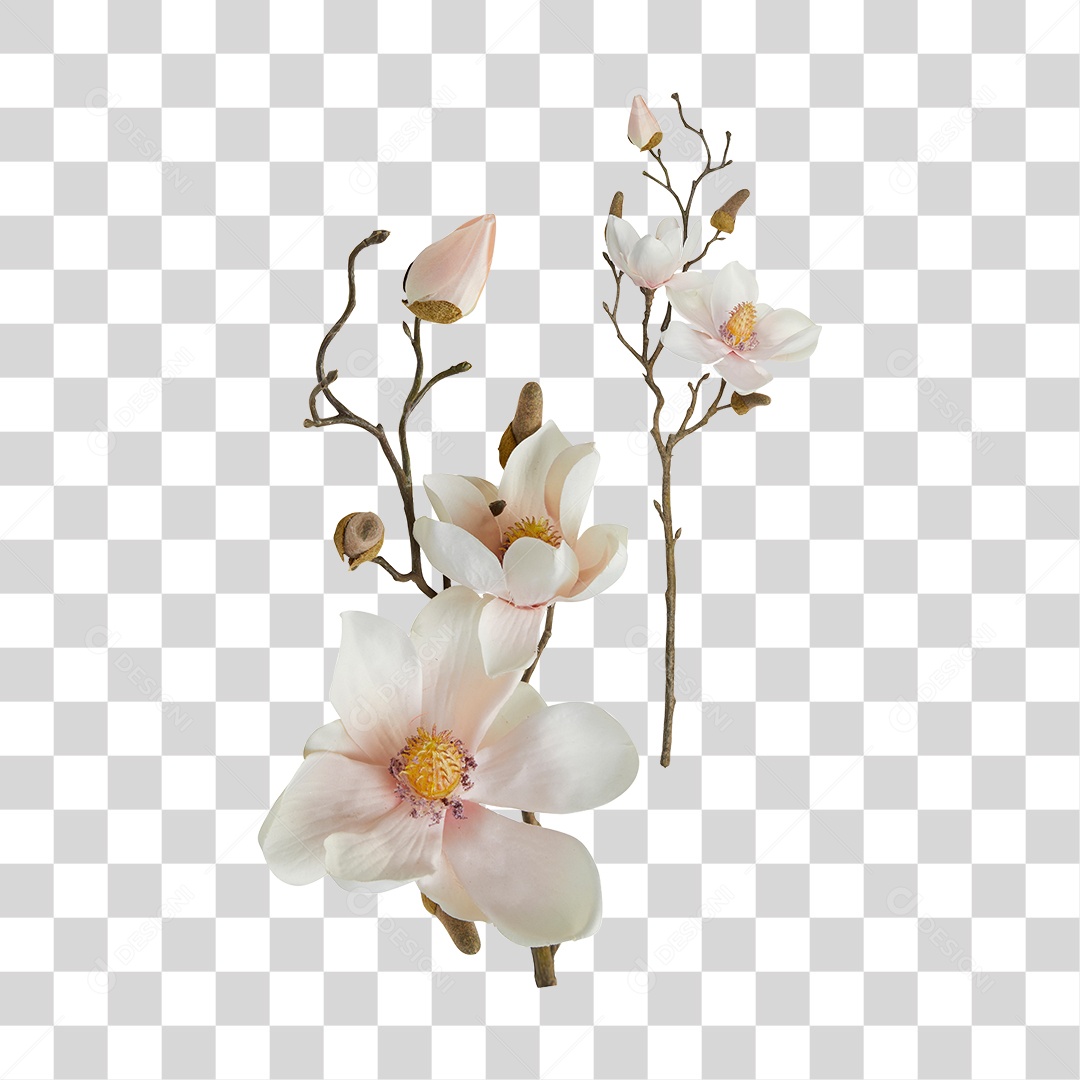 Flores PNG Transparente