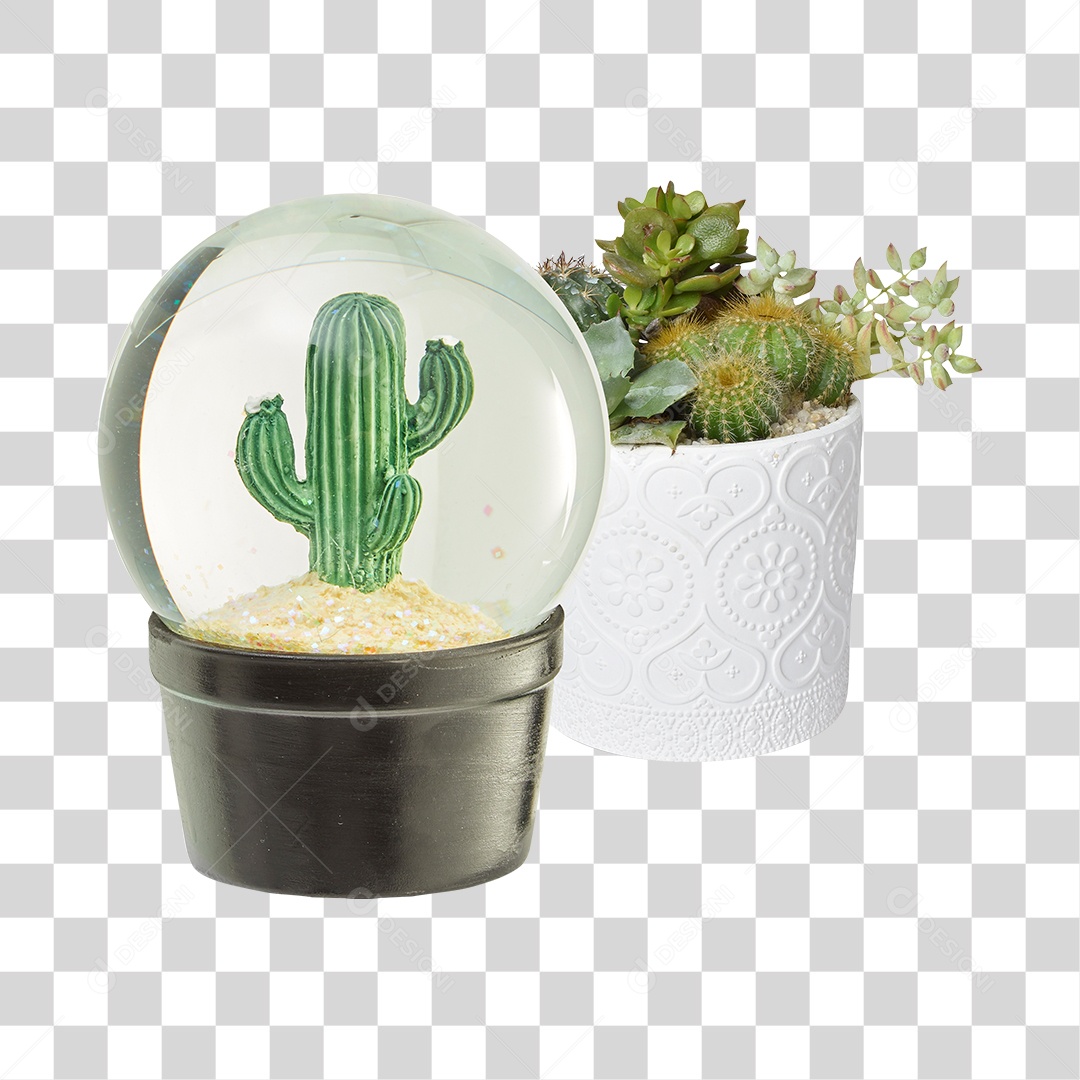 Vaso de Planta PNG Transparente