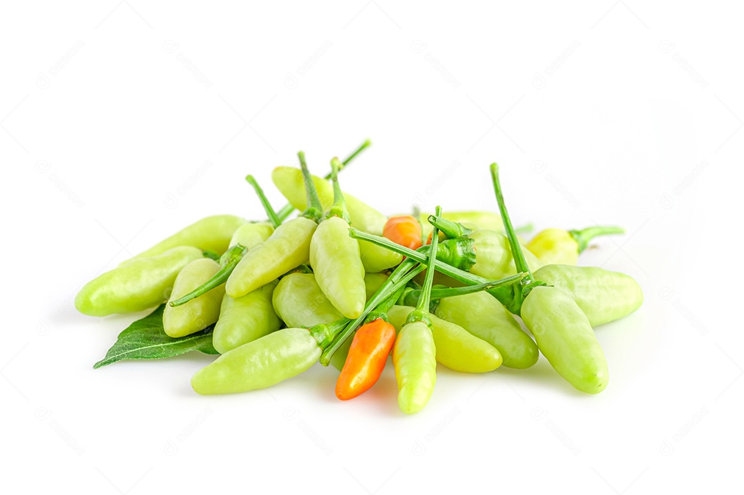 Karen pimenta super quente isolada no fundo branco