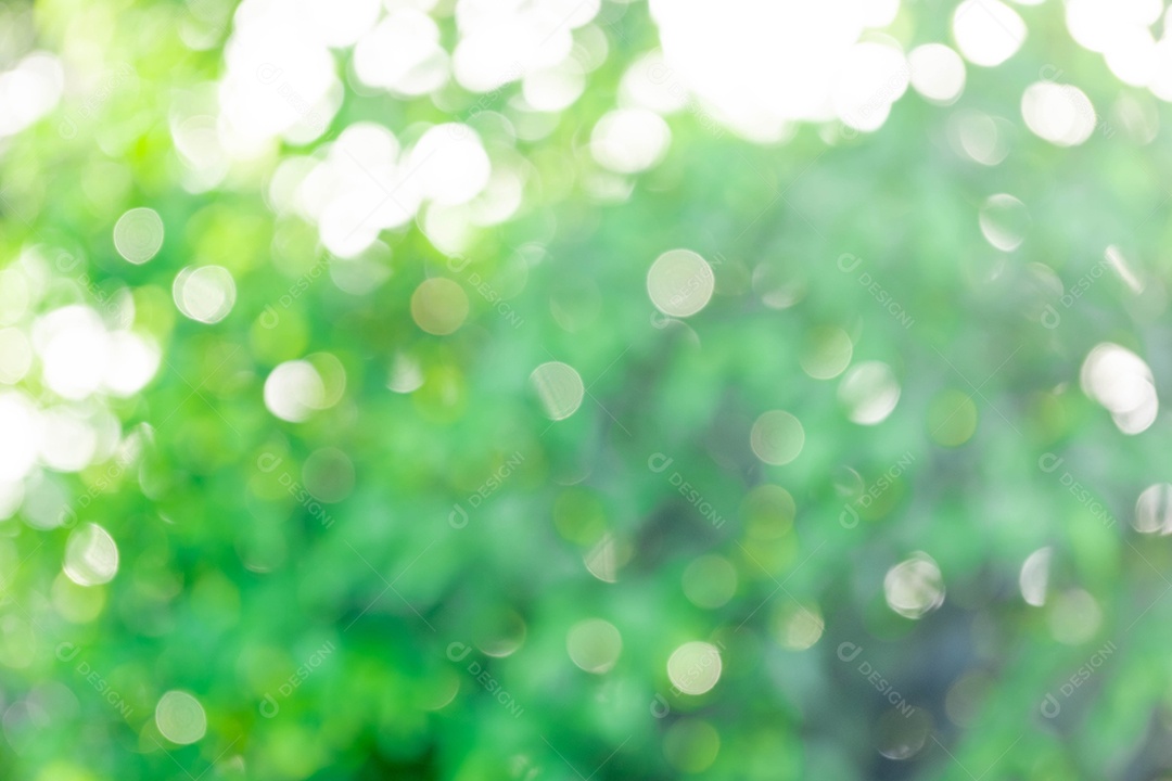 Fundo desfocado natureza floresta