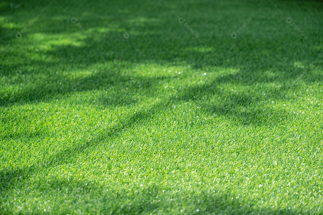 A relva artificial é verde e ensolarada. queda de sombra de árvore, textura de fundo