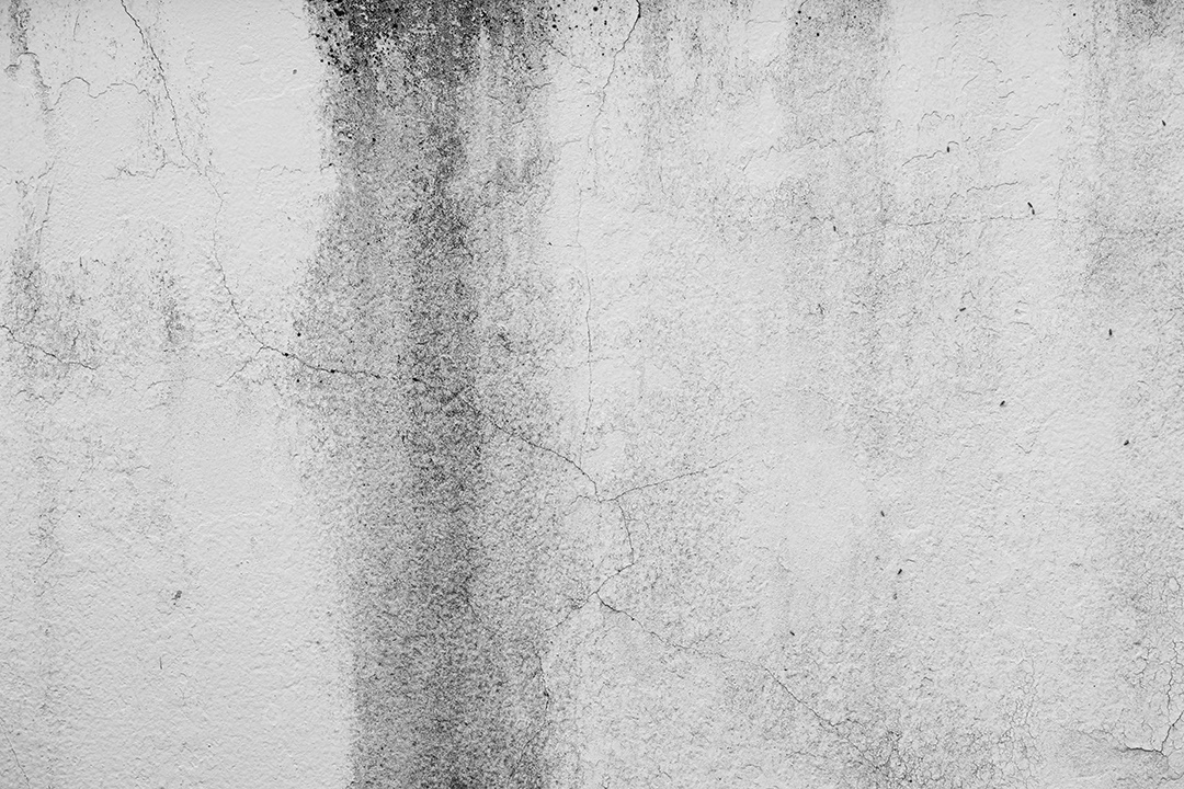 Velho muro de concreto em preto e branco, parede de cimento, parede quebrada, textura de fundo