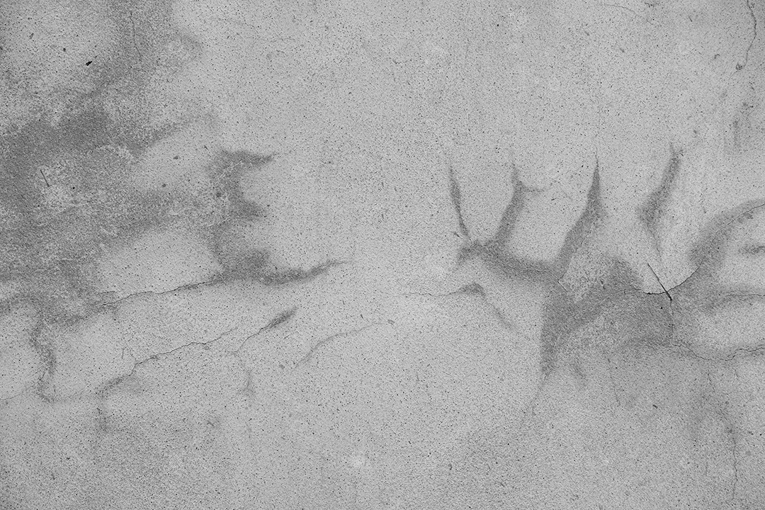 Velho muro de concreto em preto e branco, parede de cimento, parede quebrada, textura de fundo