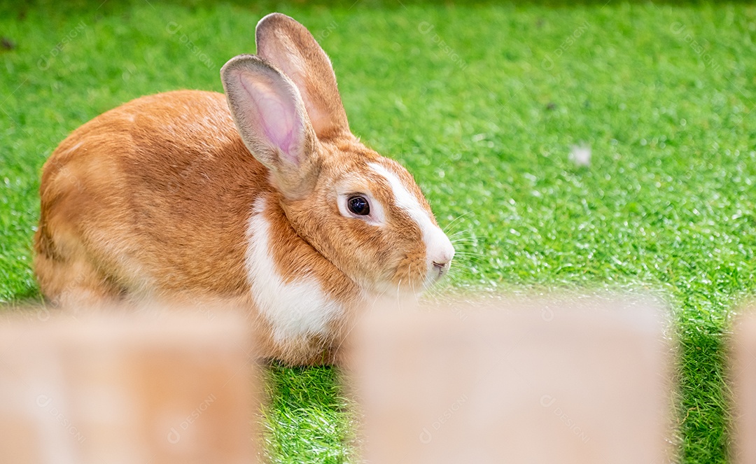 Velho muro de concreto em preto e branco, parede de cimento, parede quebrada, textura de fundo