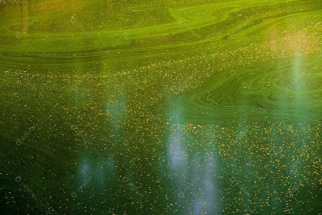 Conceito do dia mundial do meio ambiente: fundo de papel de parede de natureza verde turva abstrata