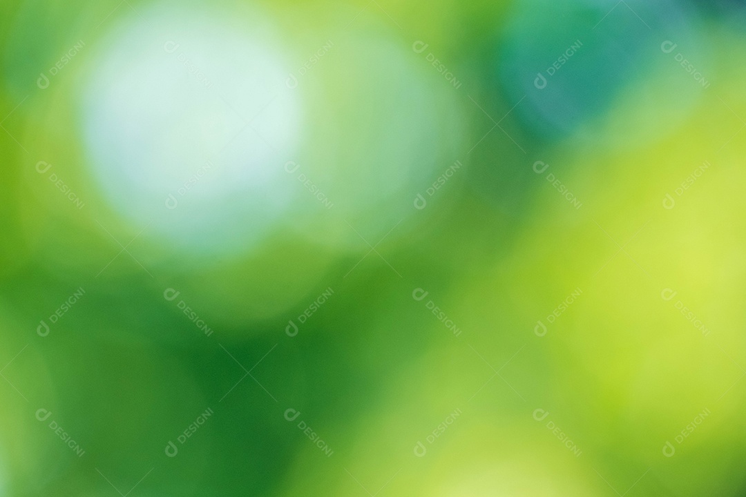 Vista da natureza da folha verde no fundo de vegetação turva no jardim com espaço de cópia usando como plano de fundo a paisagem de plantas verdes naturais, ecologia, papel de parede fresco