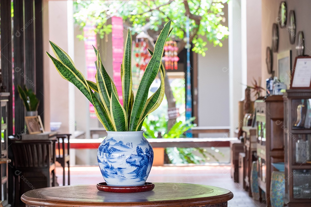 Vazo de planta sobre uma sala de estar