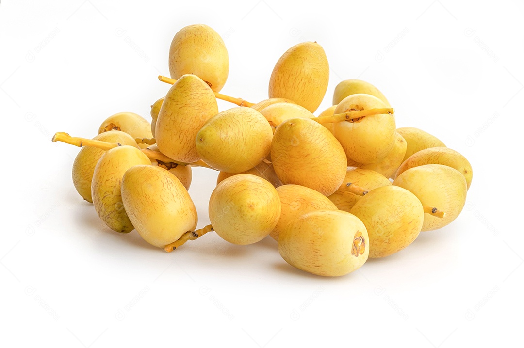 Frutos amarelos da palma das datas de Barhi (Phoenix Dactylifera) isolados no fundo branco