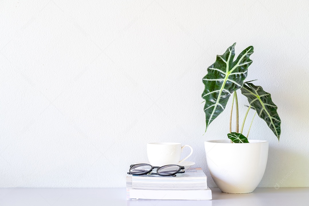 Óculos e xícara de café branco e Alocasia sanderiana Bull ou Alocasia Plant na mesa e fundo de parede branca