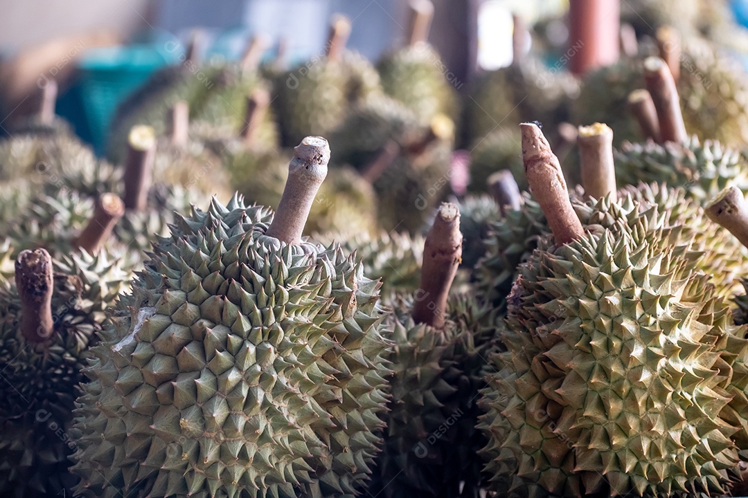 Fundo de cenário da fruta tropical tailandesa no mercado de frutas tailandesa (durain)