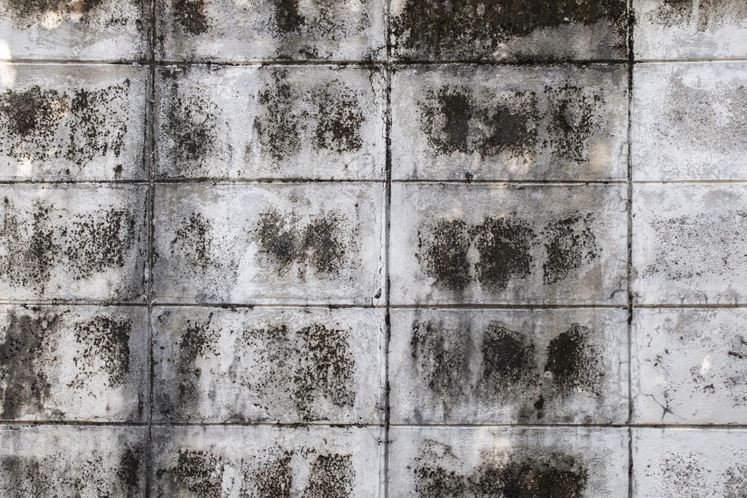 Velho muro de concreto em preto e branco, parede de cimento, parede quebrada, textura de fundo