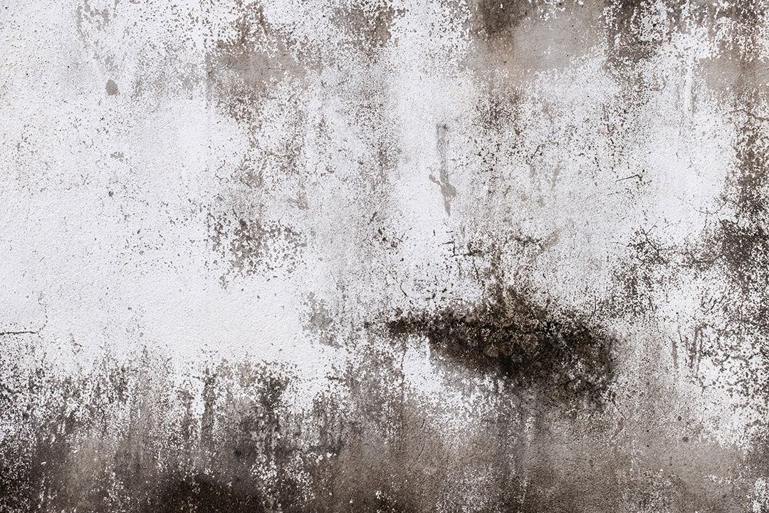 Velho muro de concreto em preto e branco, parede de cimento, parede quebrada, textura de fundo