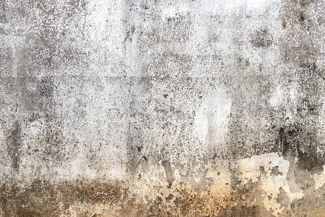 Velho muro de concreto em preto e branco, parede de cimento, parede quebrada, textura de fundo