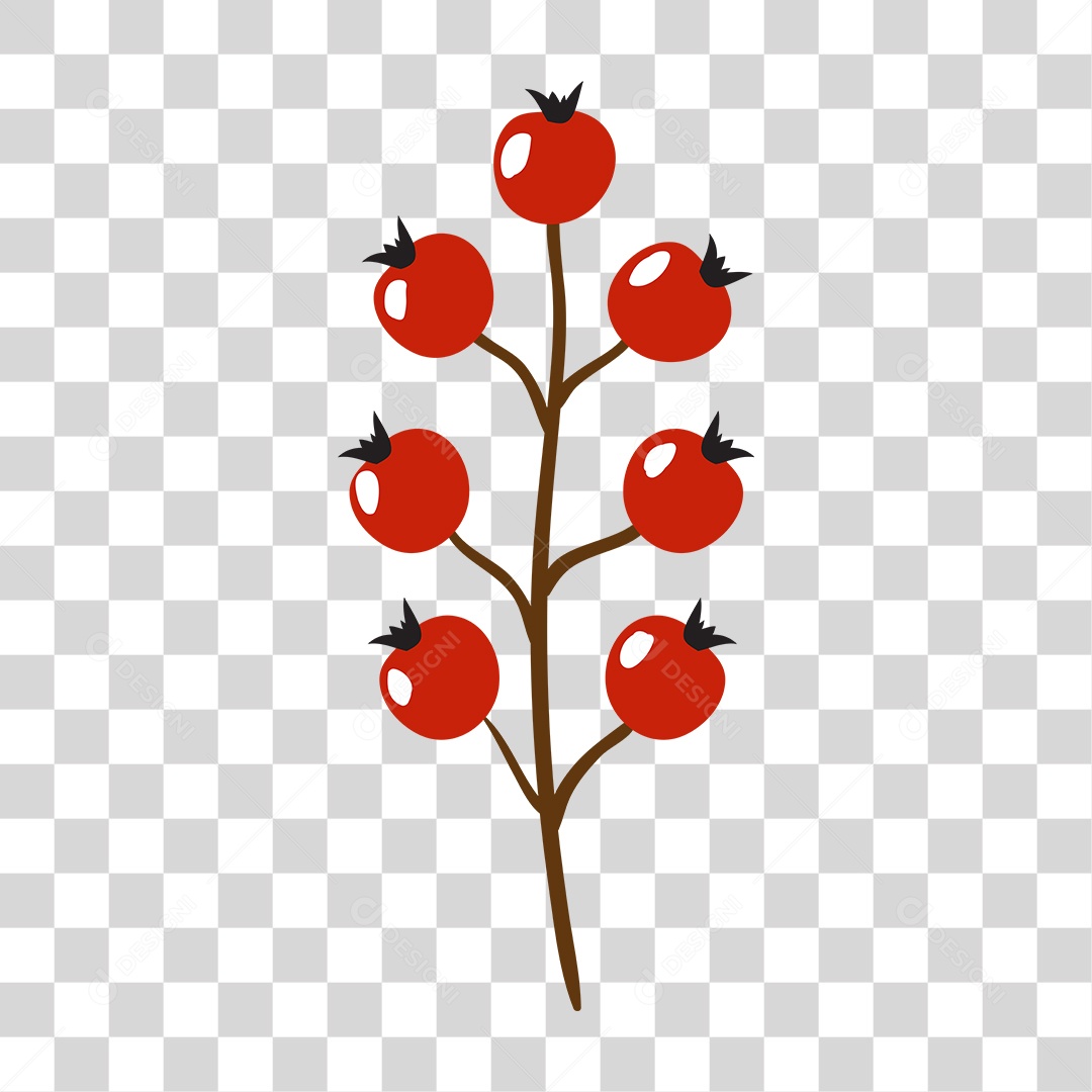 Frutas cereja PNG