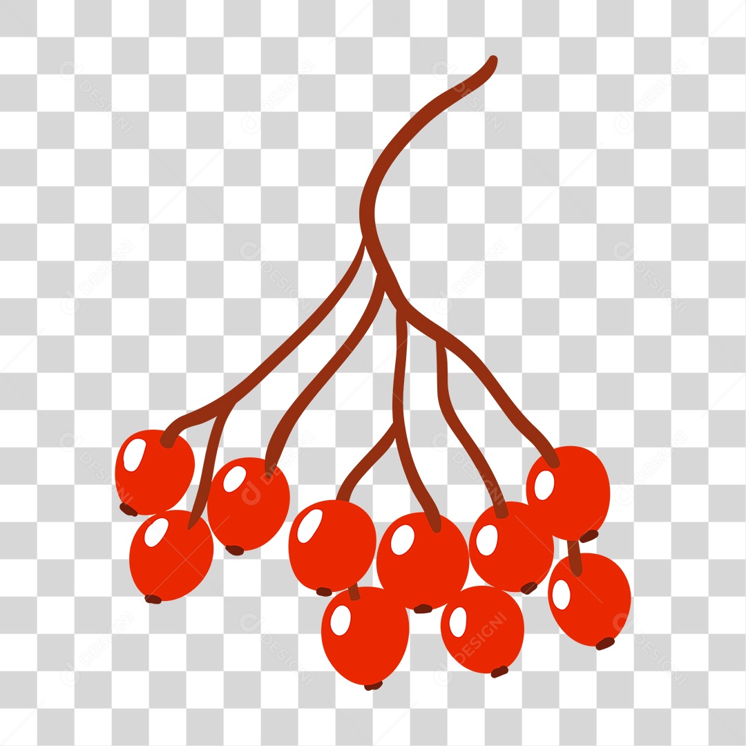 Frutas cereja PNG