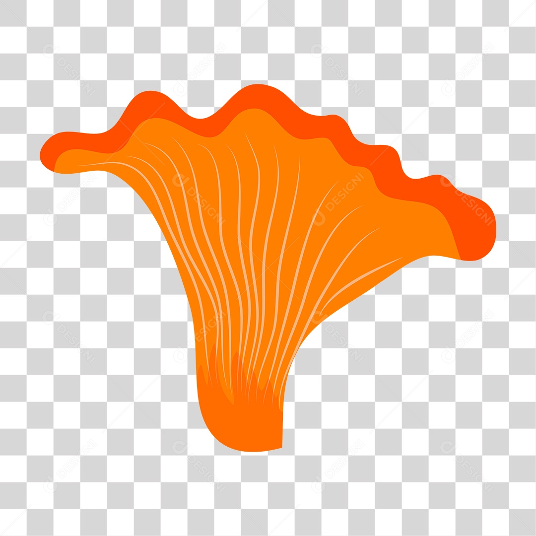 Cogumelo PNG Transparente