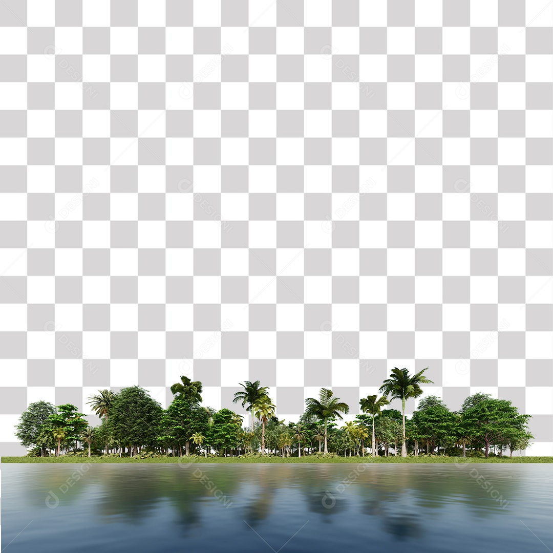 Árvore de Folha Verde Coqueiro Planta PNG Transparente