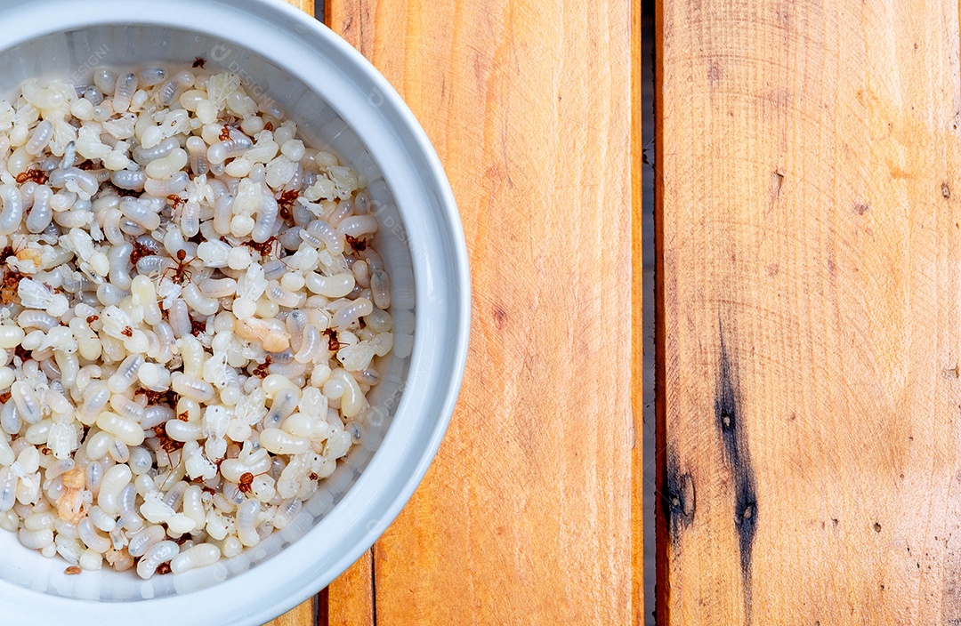 Muitos ovos de formiga e bebê formiga, comida tailandesa tradicional tropical