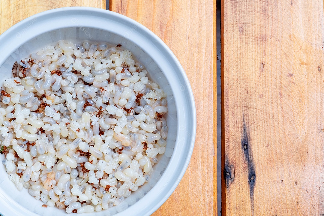 Muitos ovos de formiga e bebê formiga, comida tailandesa tradicional tropical