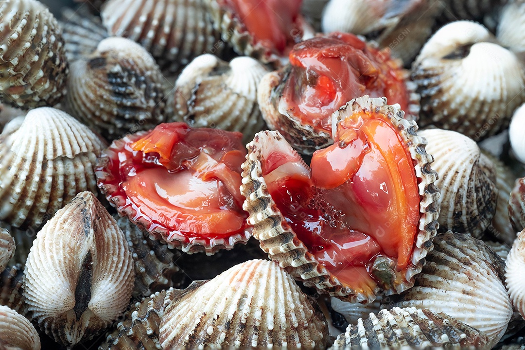 Casca de berbigão cozida fresca e deliciosa com molho de marisco picante, comida tailandesa, macro