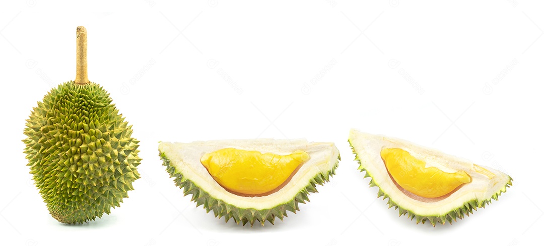 Durian isolado no fundo branco