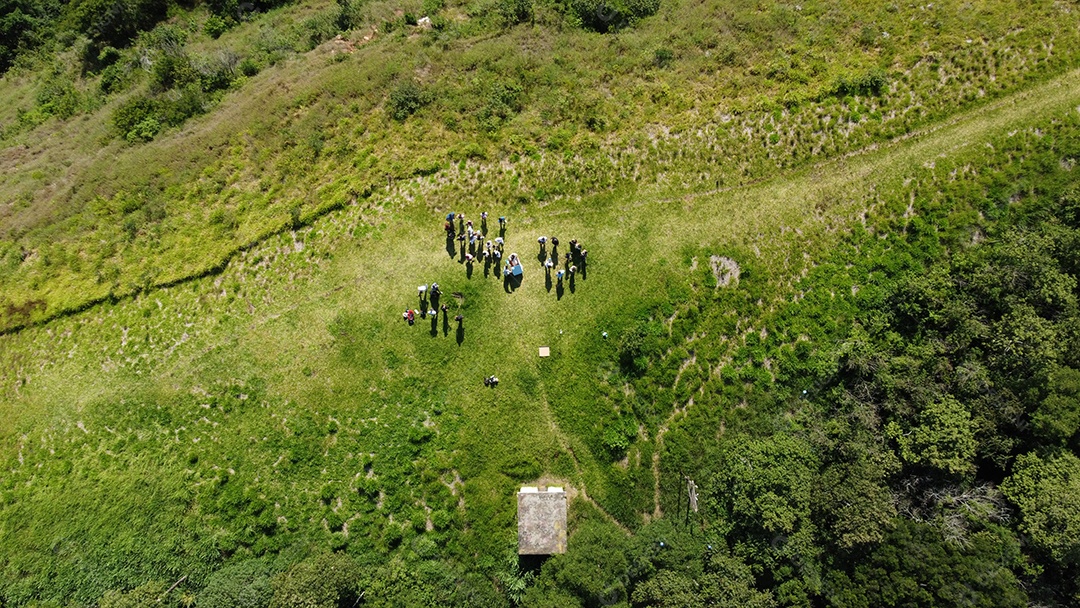 Vista aerea de uma floresta mata fechada paisagem montanhas
