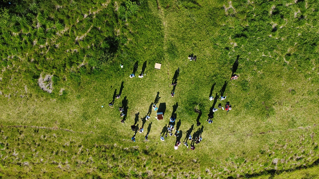 Evento de pessoas sobre parque floresta